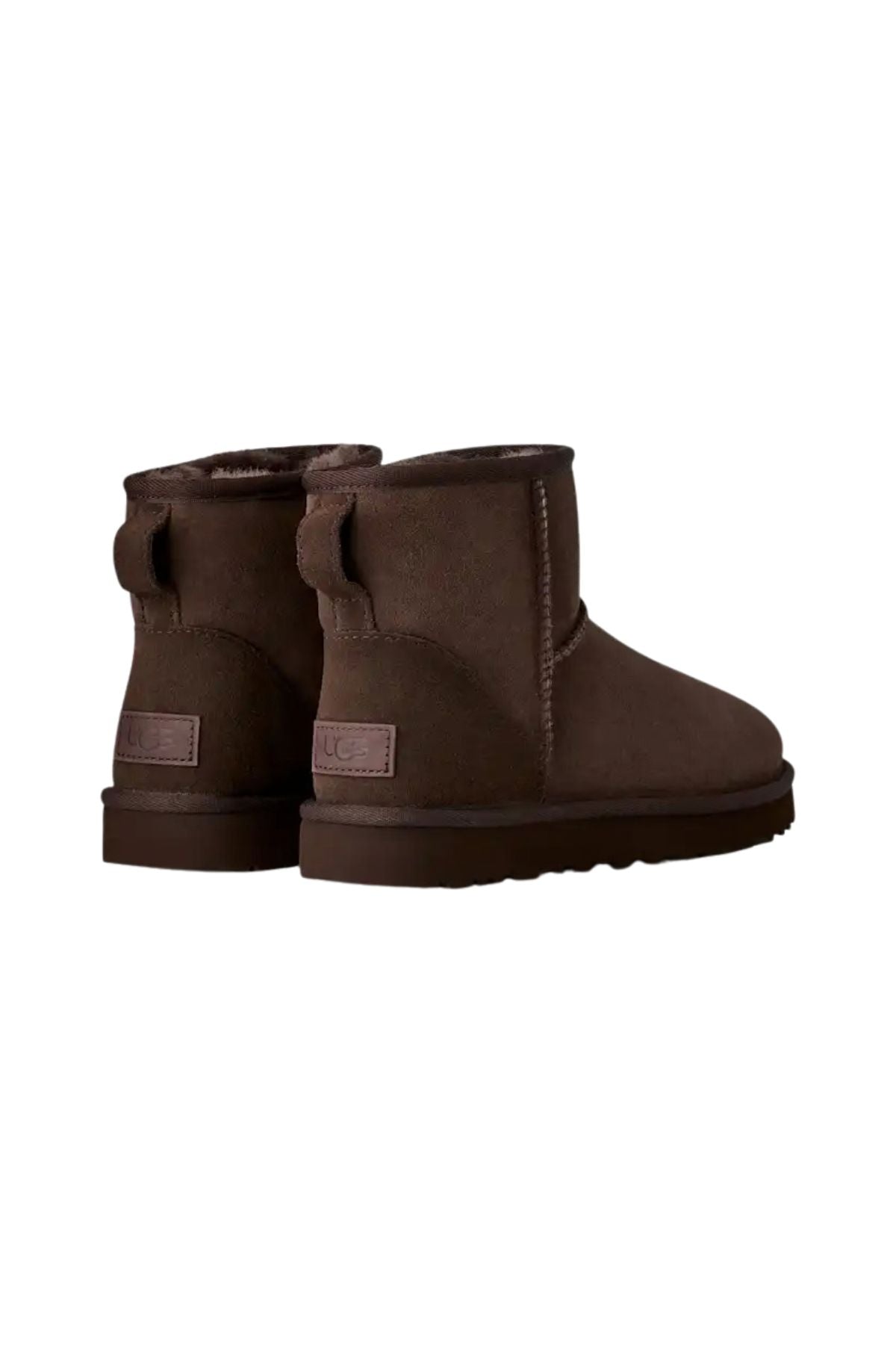 Classic mini testa di moro CLASSIC MINI DDC ugg 