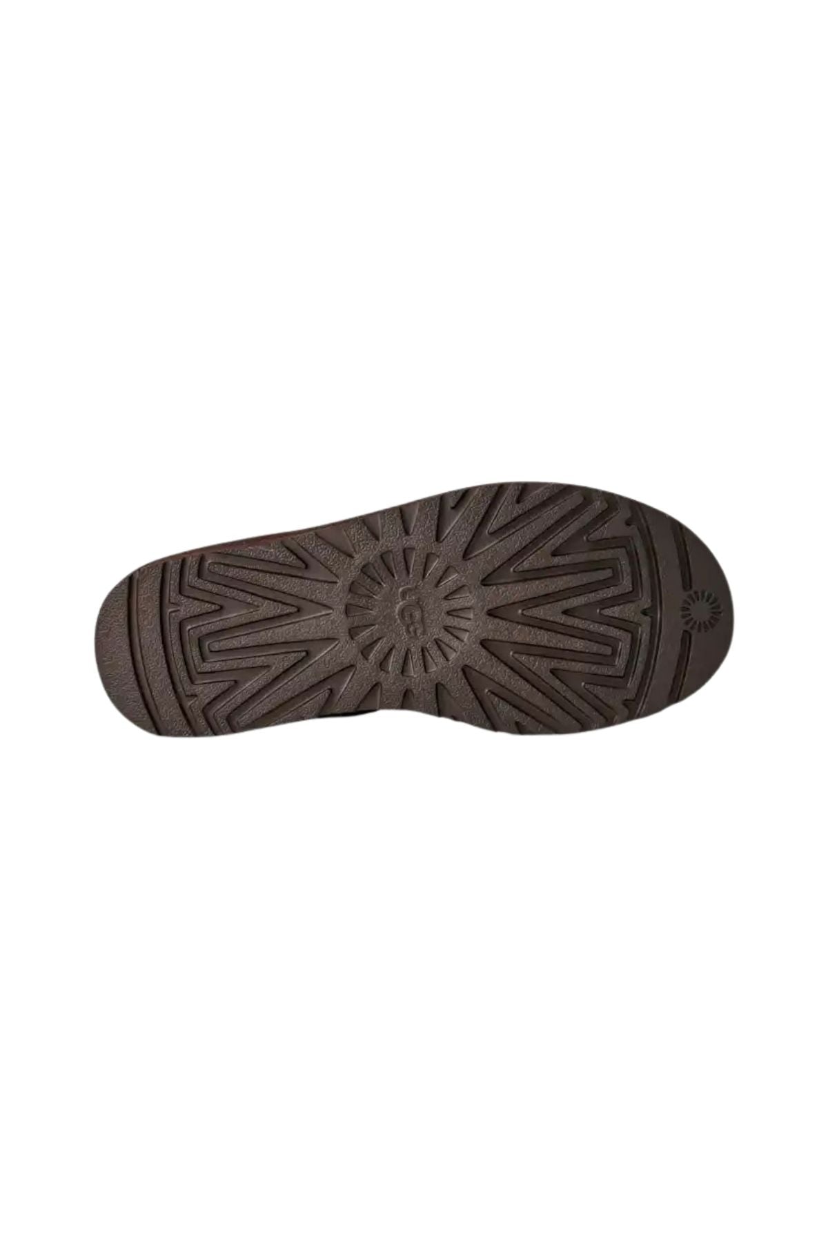Classic mini testa di moro CLASSIC MINI DDC ugg 