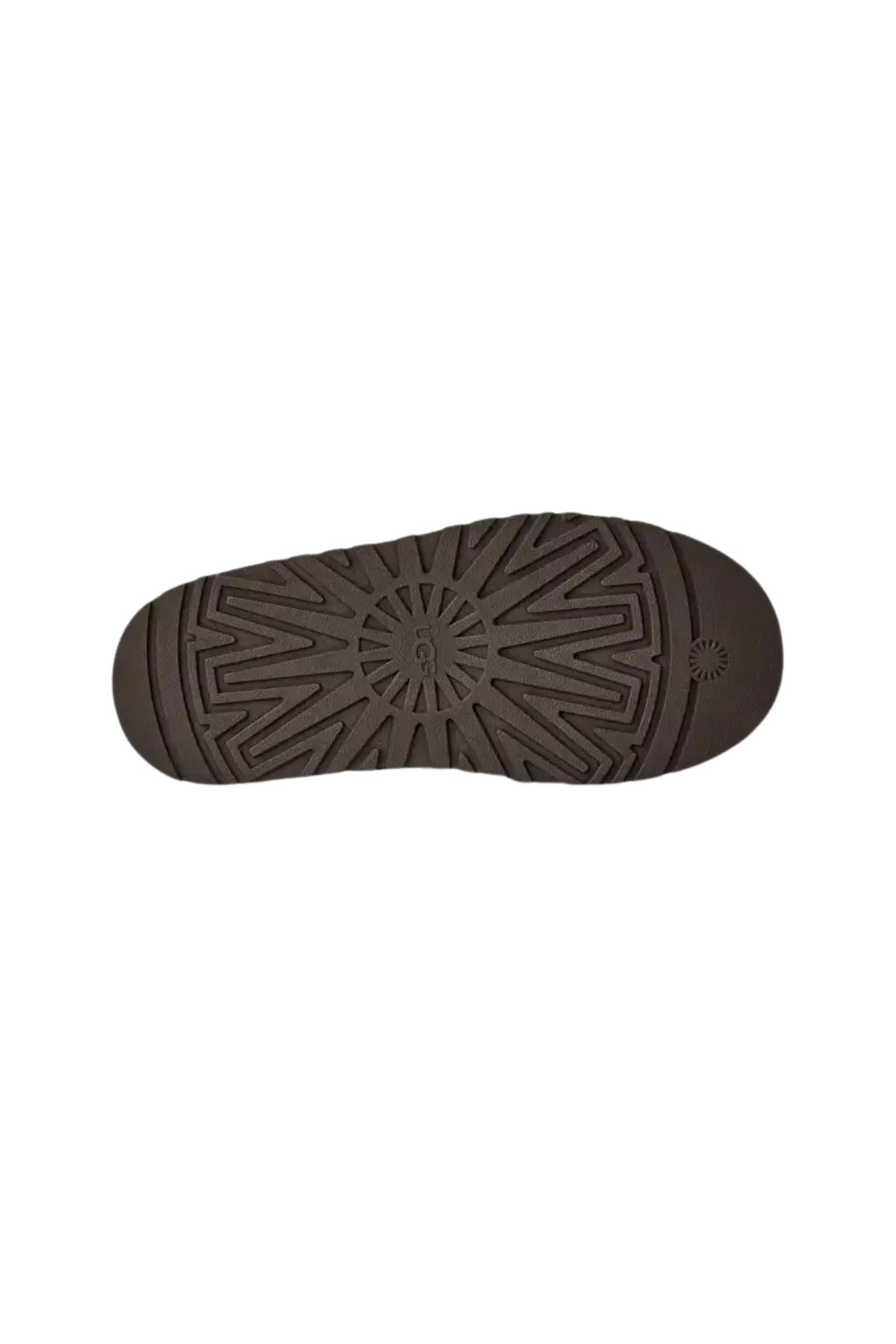 Tazz testa di moro TAZZ II DDEC ugg 