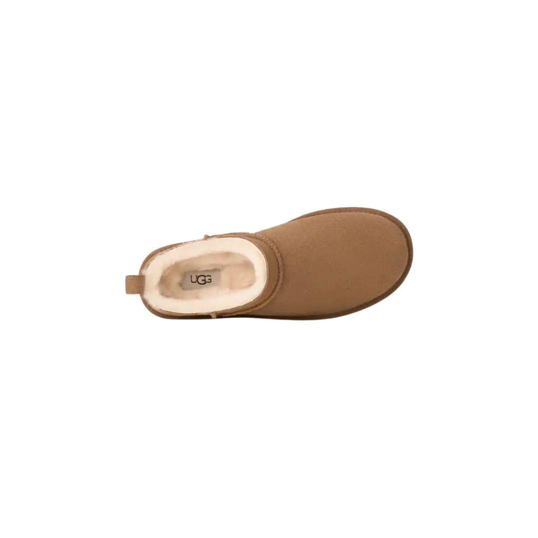 Classic Micro CLASSI8C MICRO CHESTNUT ugg 